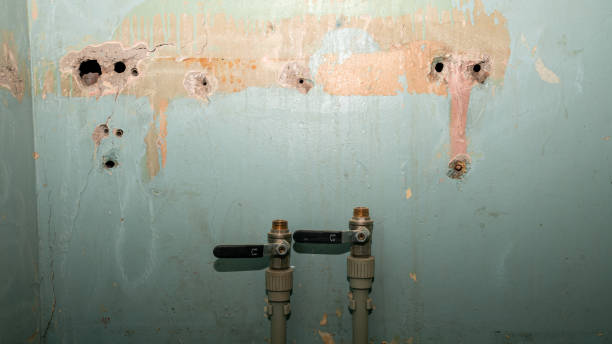 Best Water-Damaged Furniture Restoration in USA